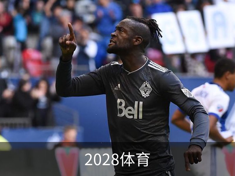 2028体育概况