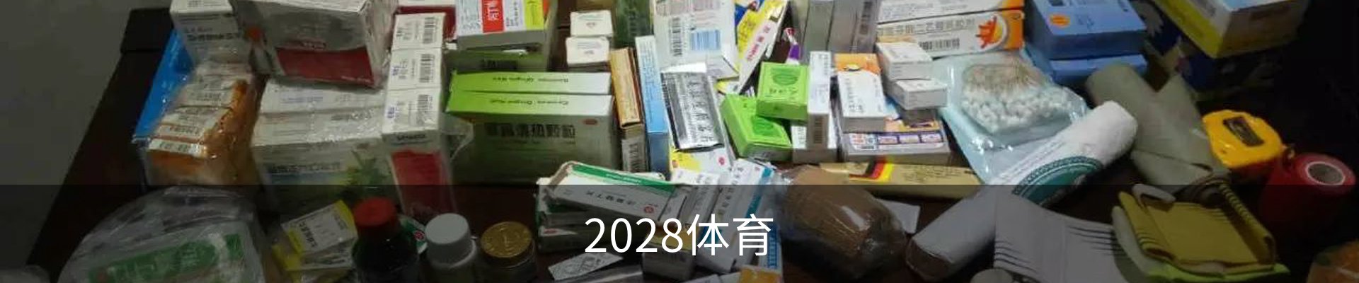 2028体育